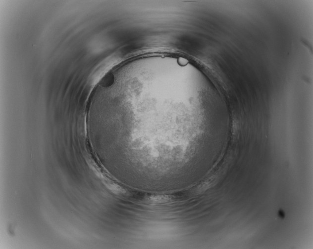X0000101701274200807101528