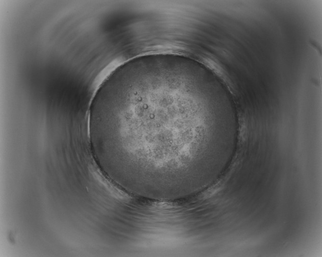 X0000101701275200807101528