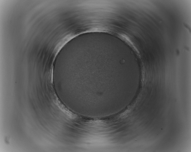 X0000101701276200807101528