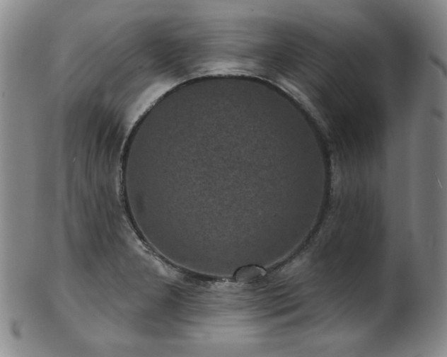 X0000101701277200807101528