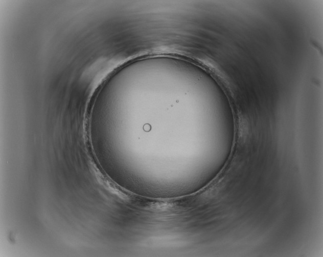 X0000101701278200807101528