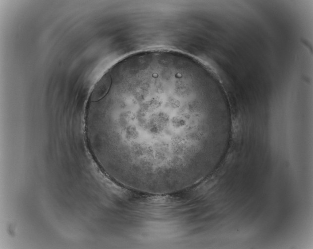 X0000101701279200807101528