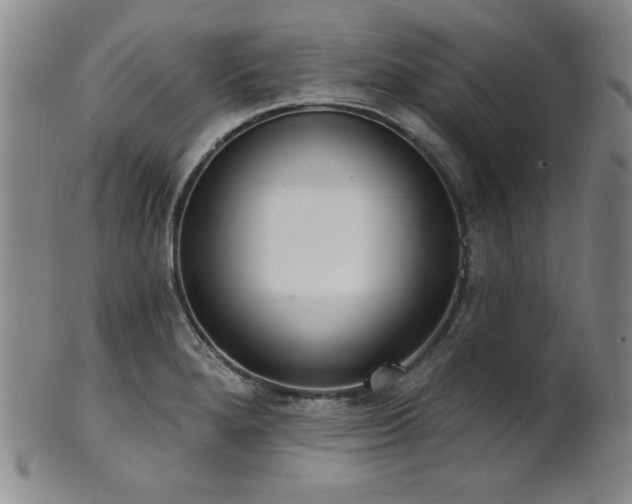 X0000101701280200807101528