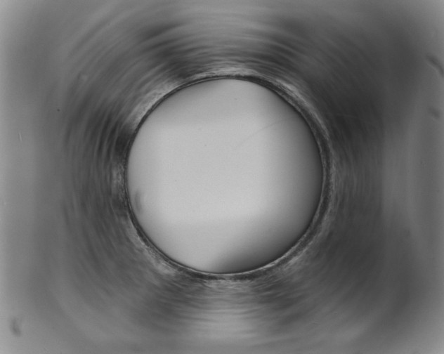 X0000101701281200807101528