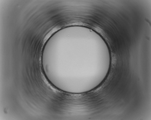 X0000101701282200807101528