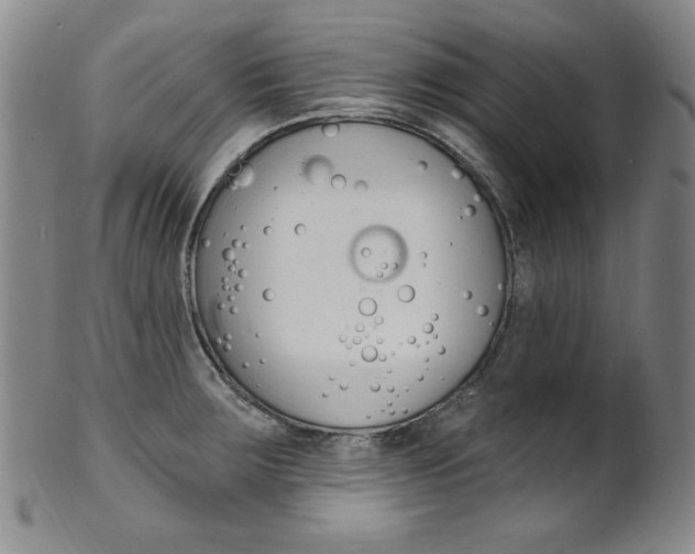 X0000101701283200807101528