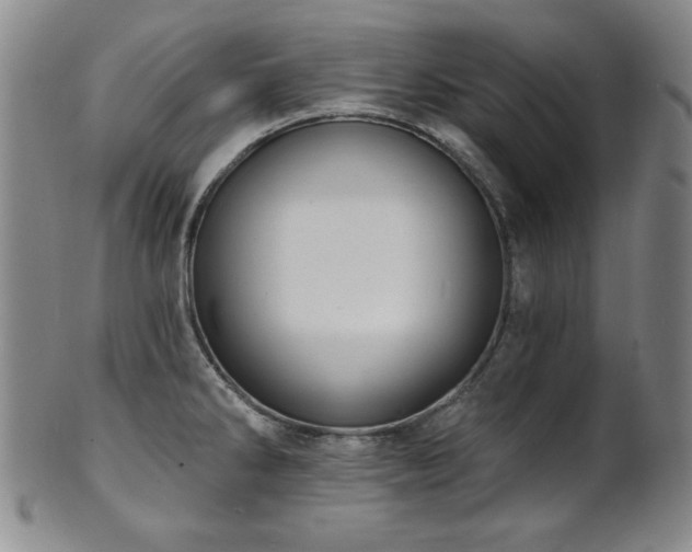 X0000101701286200807101528