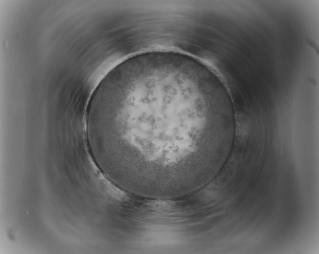 X0000101701287200807101528