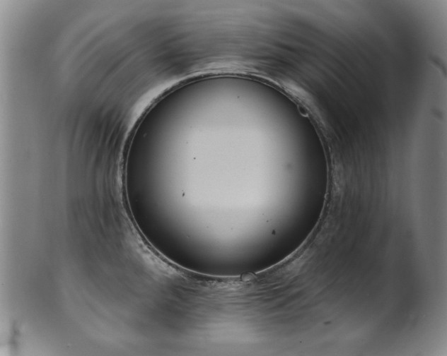 X0000101701288200807101528