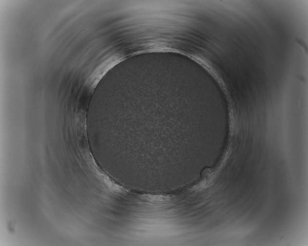 X0000101701289200807101528