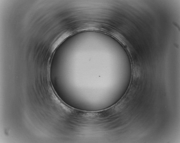 X0000101701290200807101528