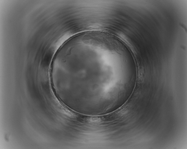 X0000101701291200807101528