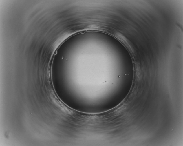 X0000101701292200807101528