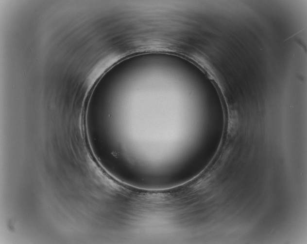 X0000101701293200807101528