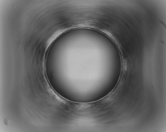 X0000101701294200807101528