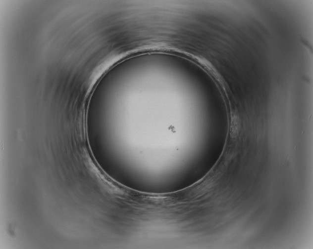 X0000101701295200807101528