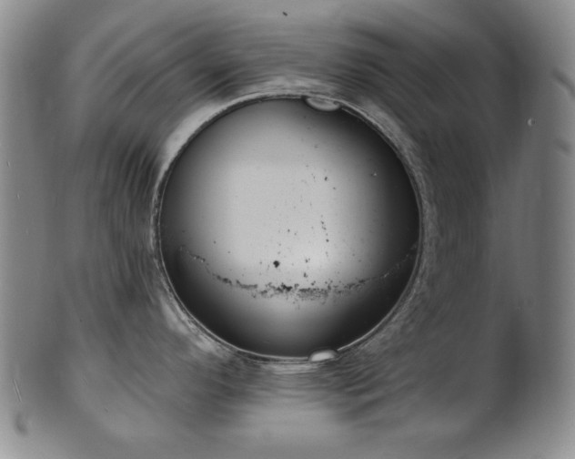 X0000101701296200807101528