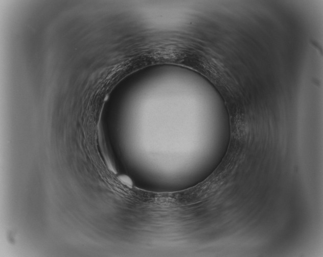 X0000101701297200807101527