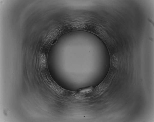 X0000101701298200807101527