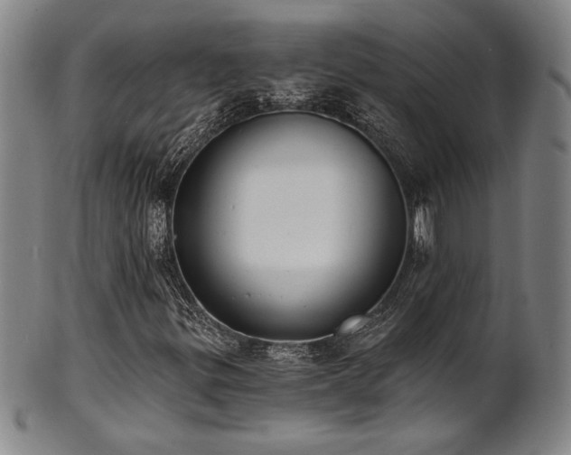X0000101701299200807101527