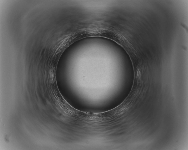 X0000101701300200807101527