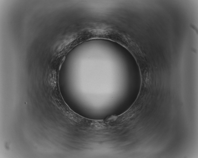 X0000101701301200807101527