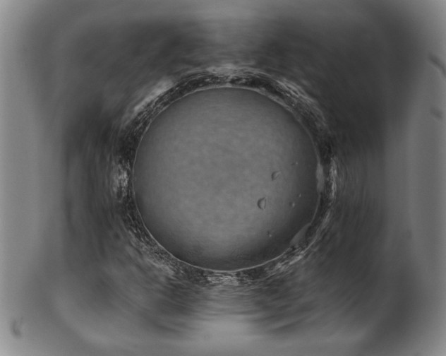 X0000101701302200807101527