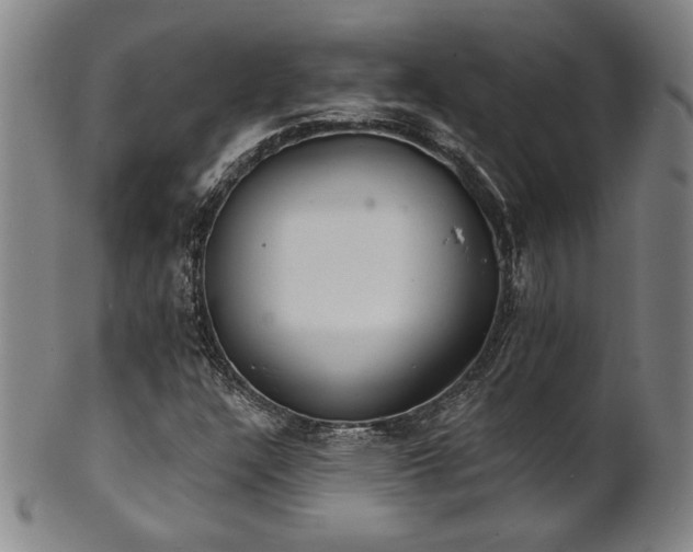 X0000101701304200807101527
