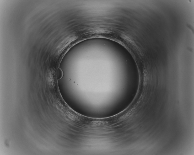 X0000101701305200807101527