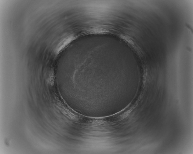 X0000101701306200807101527