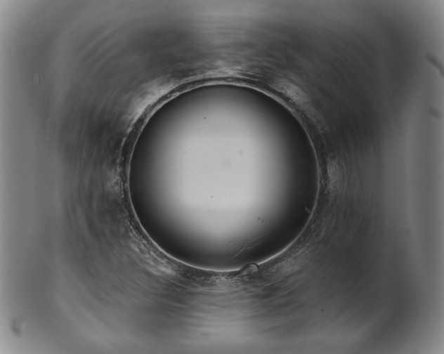 X0000101701308200807101527