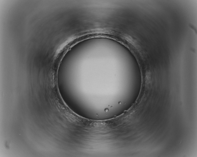 X0000101701310200807101527