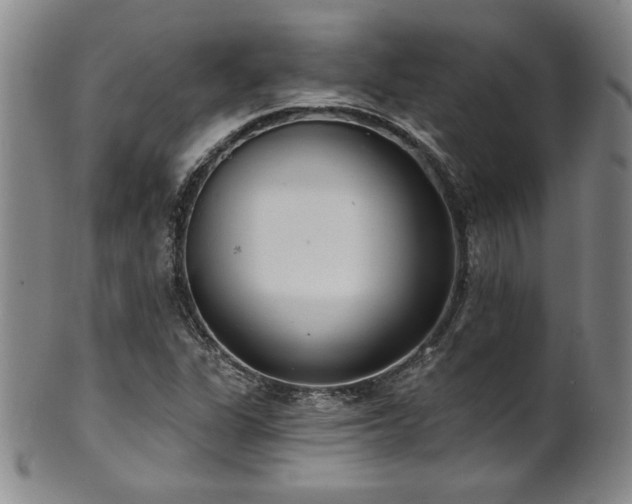 X0000101701311200807101527
