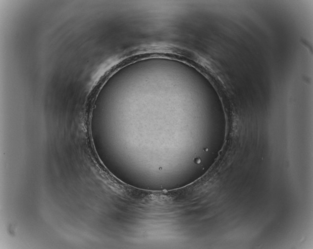 X0000101701312200807101527