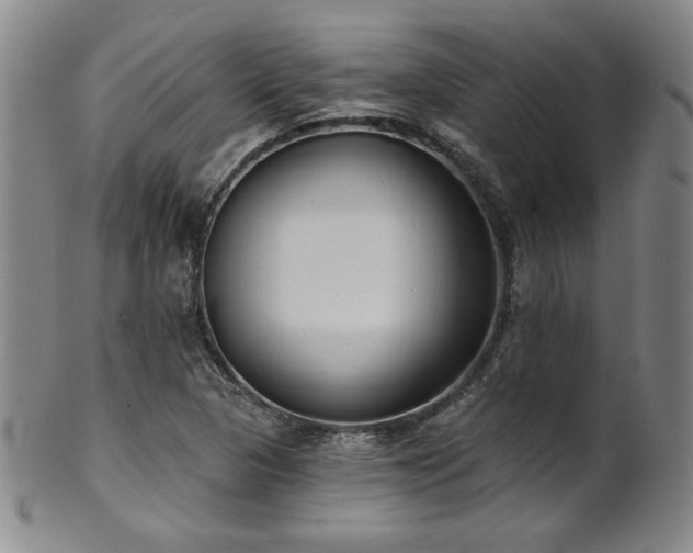 X0000101701313200807101527