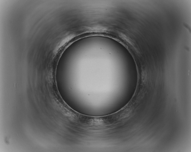 X0000101701315200807101527