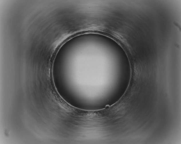 X0000101701316200807101527