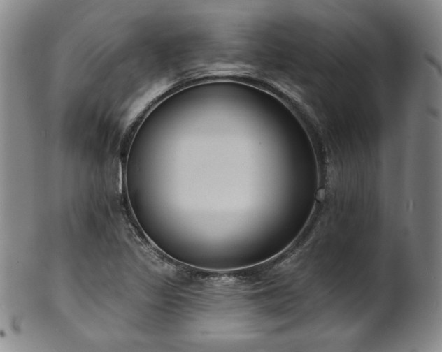 X0000101701317200807101527