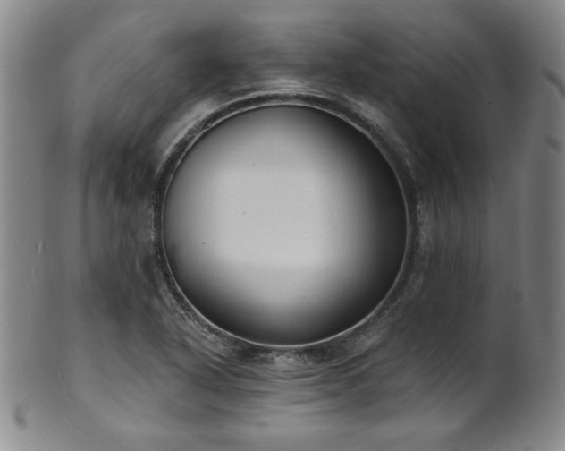 X0000101701318200807101527