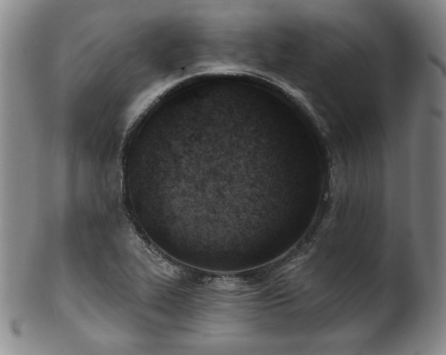 X0000101701319200807101527