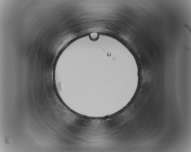 X0000101701322200807101527