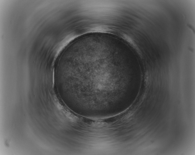 X0000101701323200807101527