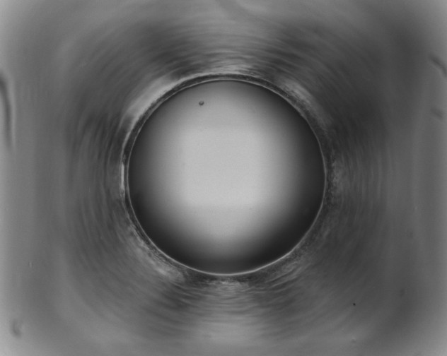 X0000101701324200807101527