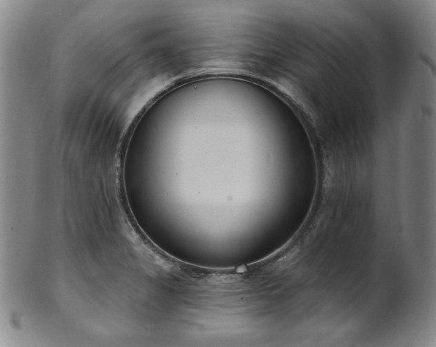 X0000101701325200807101527