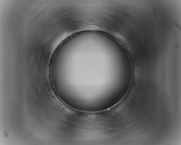 X0000101701326200807101527