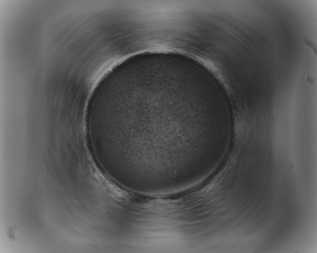 X0000101701327200807101527