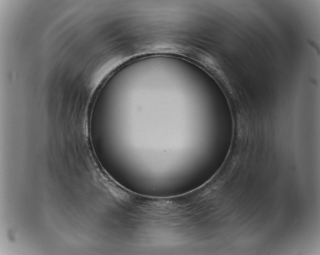 X0000101701328200807101528