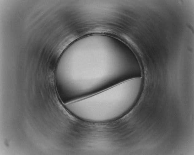 X0000101701329200807101528