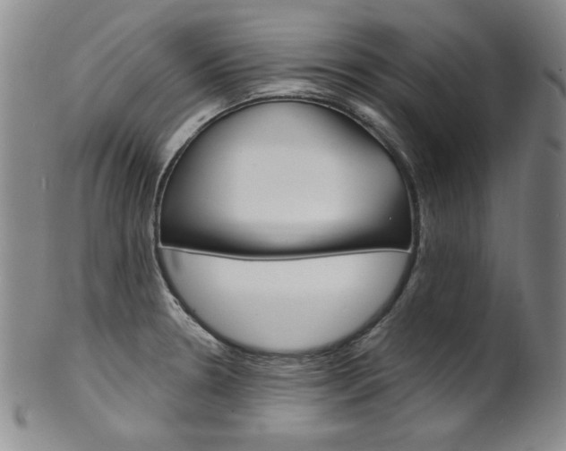 X0000101701330200807101528