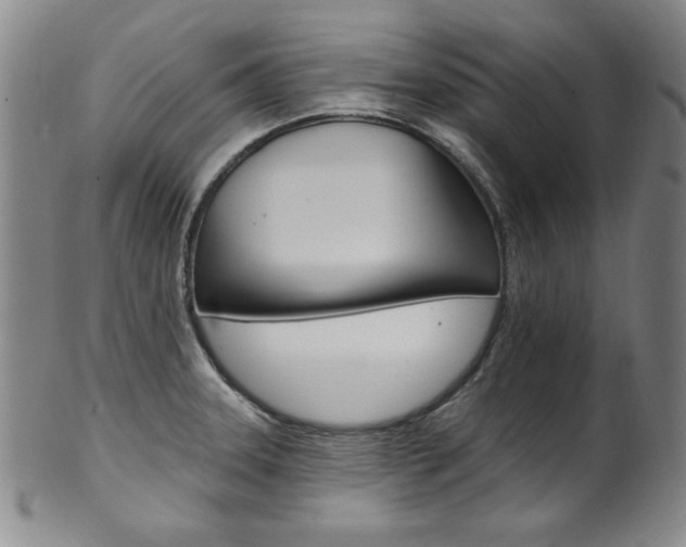 X0000101701331200807101528